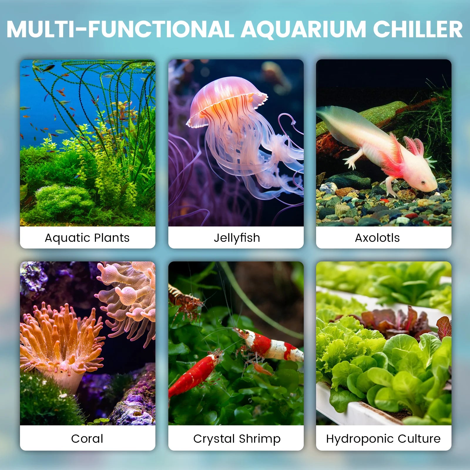 1/2 HP Aquarium Water Chiller