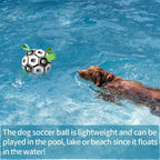 Dog Toy Interactive Pet Football Toys