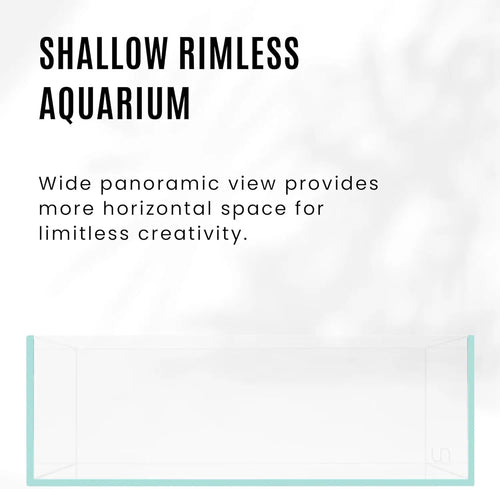 2 Gallon Shallow Tank