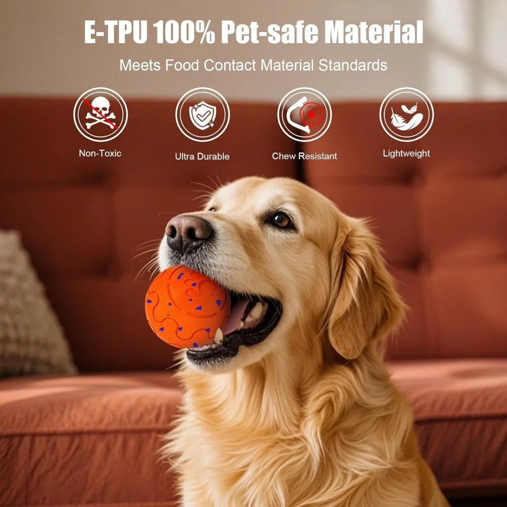 Interactive Dog Ball