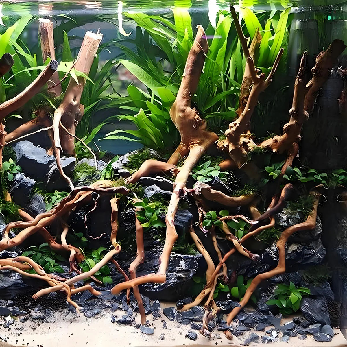 Natural Driftwood Root Trunk Tree