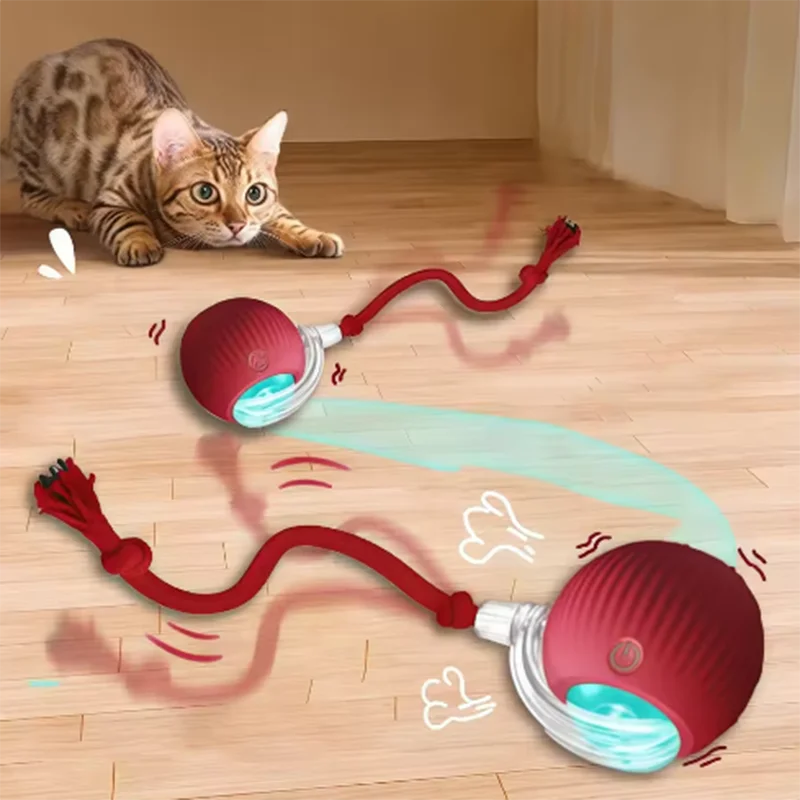 Intelligent interactive cat, dog ball