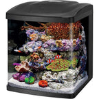BioCube, Aquarium Kit