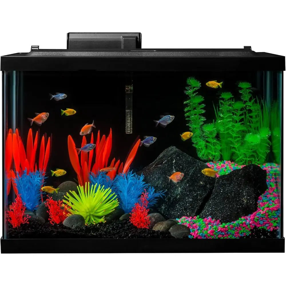 20 Gallon Aquarium Kit