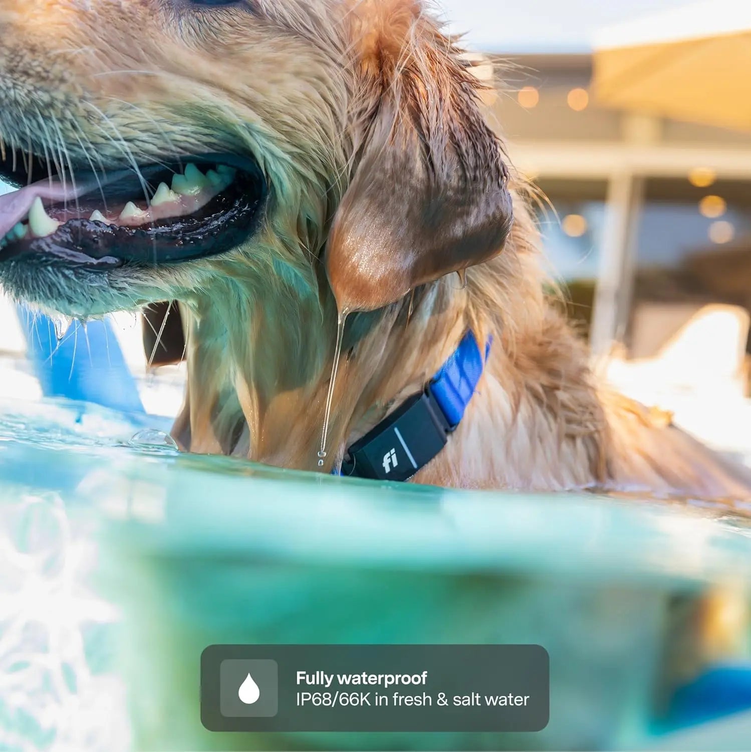 Smart GPS Dog Tracker Collar