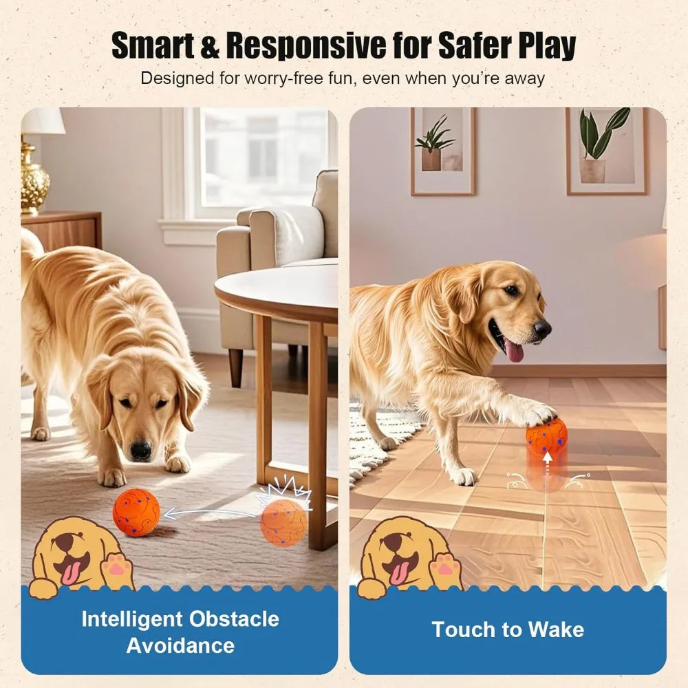 Interactive Dog Ball