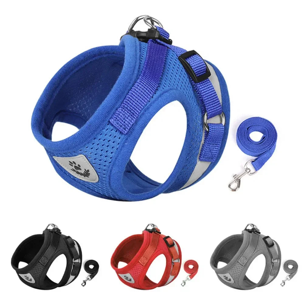 Cat Harness Lead Leash Set