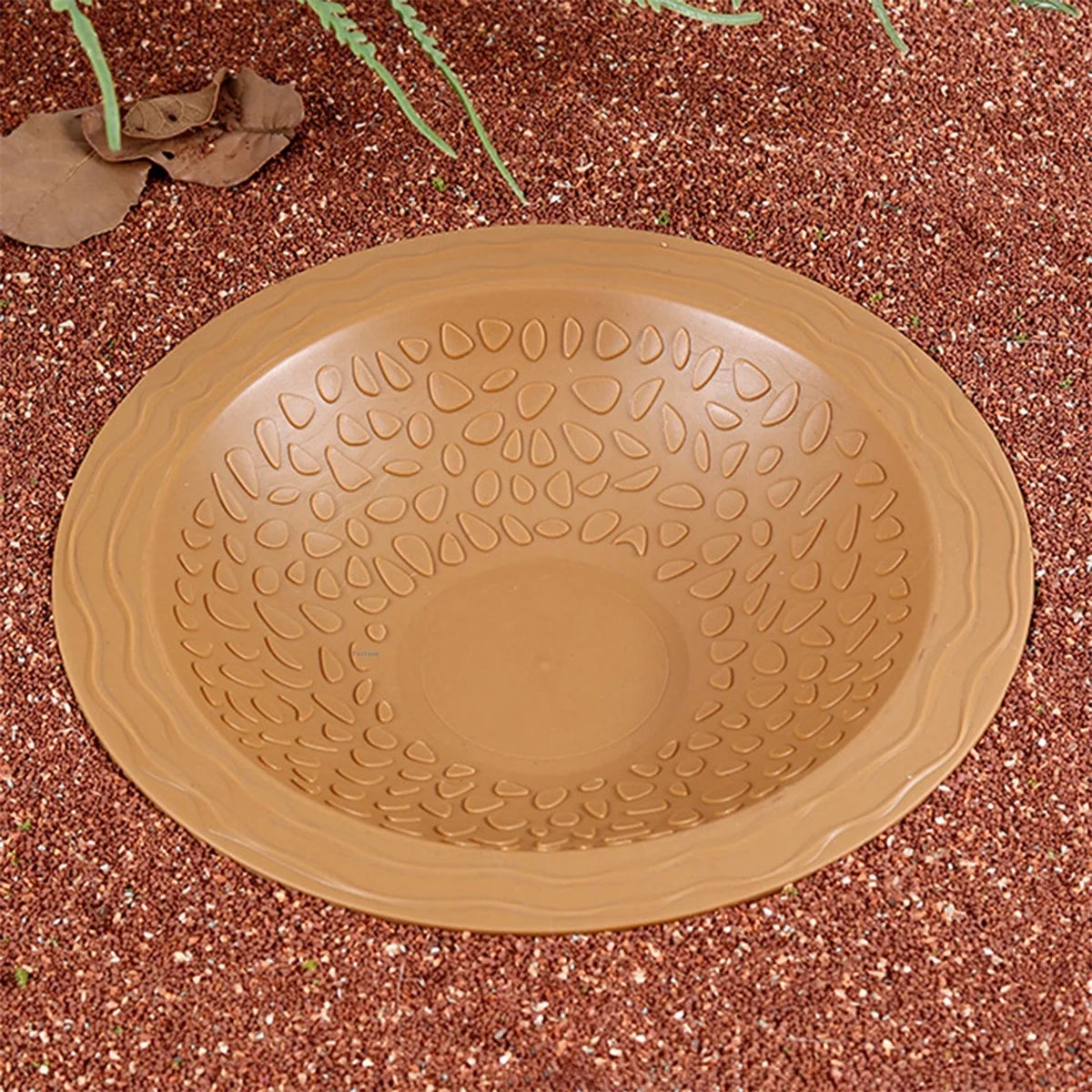 Reptile Swimming Pool Turtle Water Dish