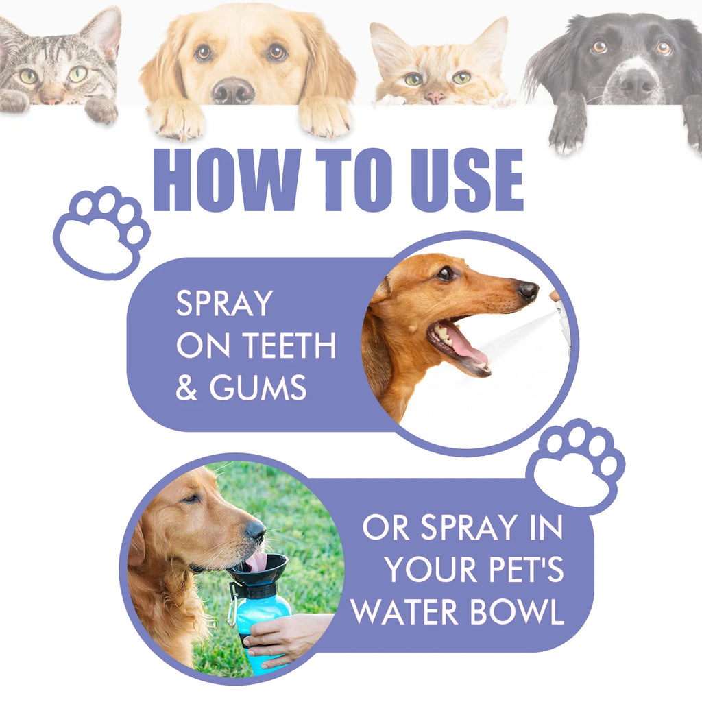 4-Piece Pet Oral Care Spray