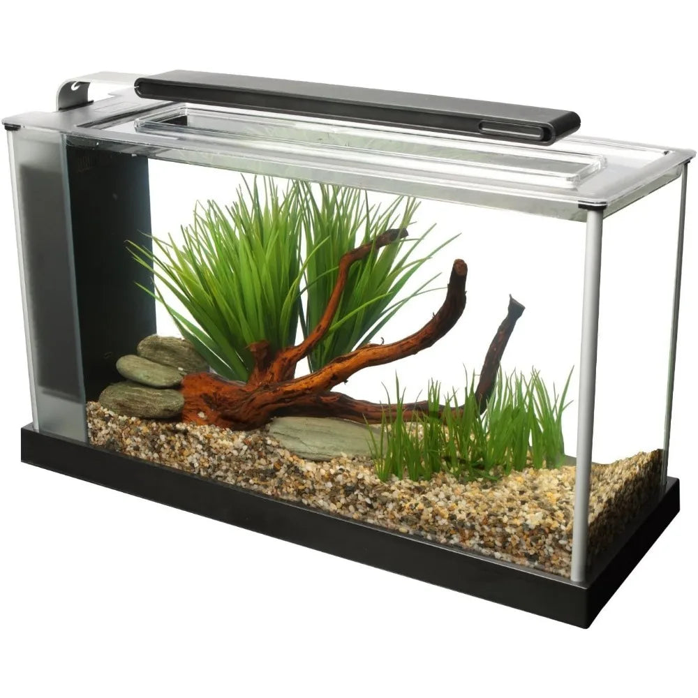 5-Gallon Aquarium Kit with LED Light and 3-Stage Filter System