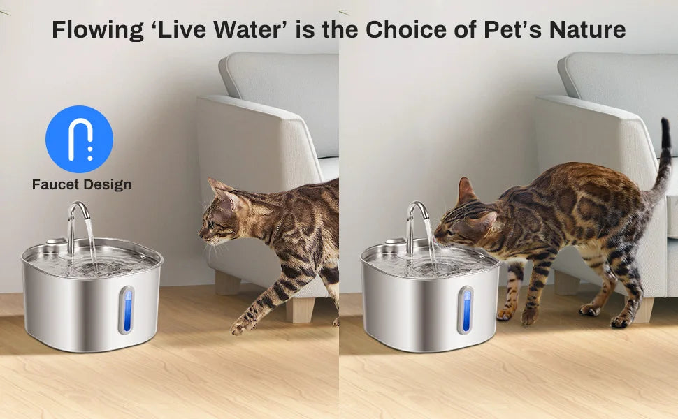 Stainless Steel Cat Water Fountain