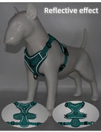 No Pull Dog Harness and Leash Set