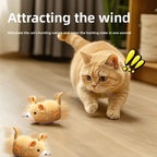 Interactive Cat Toy