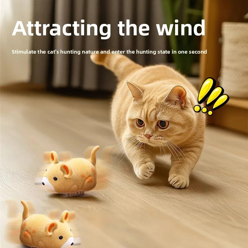 Interactive Cat Toy