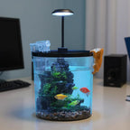 1.5 Gal Betta Fish Tank