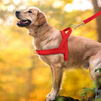Adjustable No-Pull Dog Harness