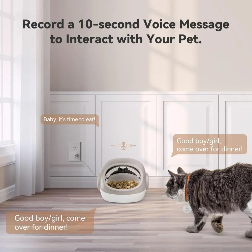 Upgraded RFID Cat Feeder with Collar Sensor