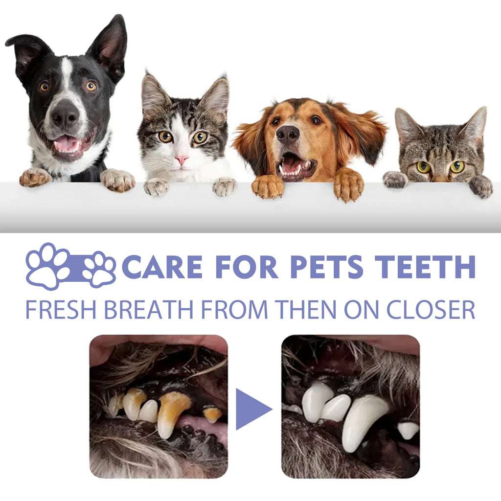 4-Piece Pet Oral Care Spray