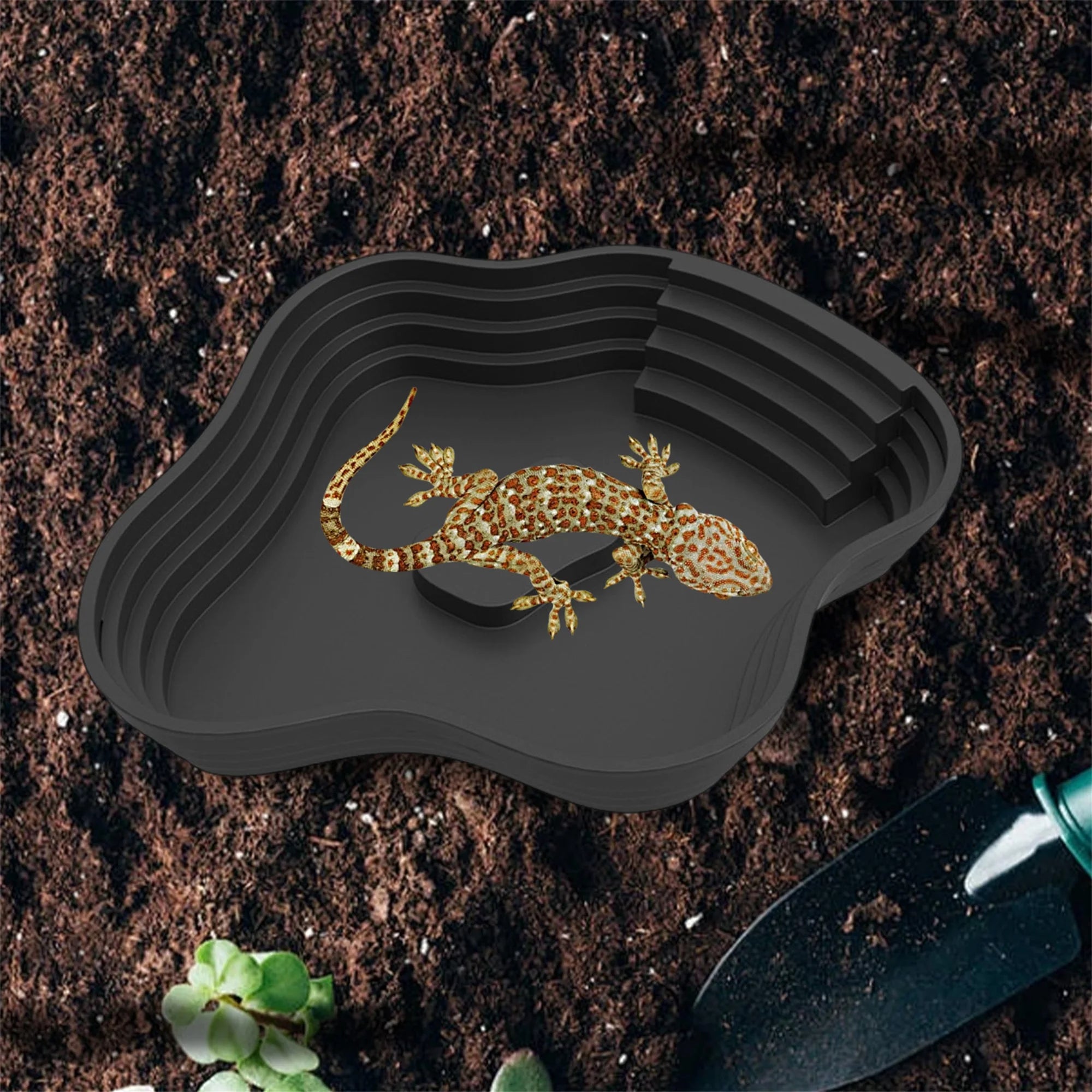 Reptile Habitat, Bathing Pool