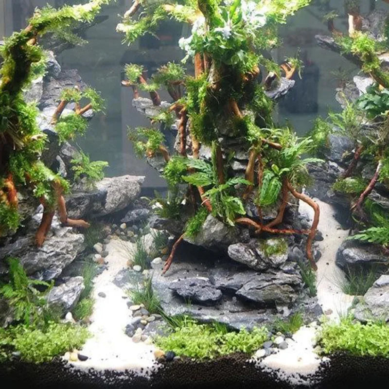 Aquarium Micro Landscape
