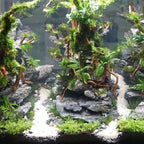 Aquarium Micro Landscape