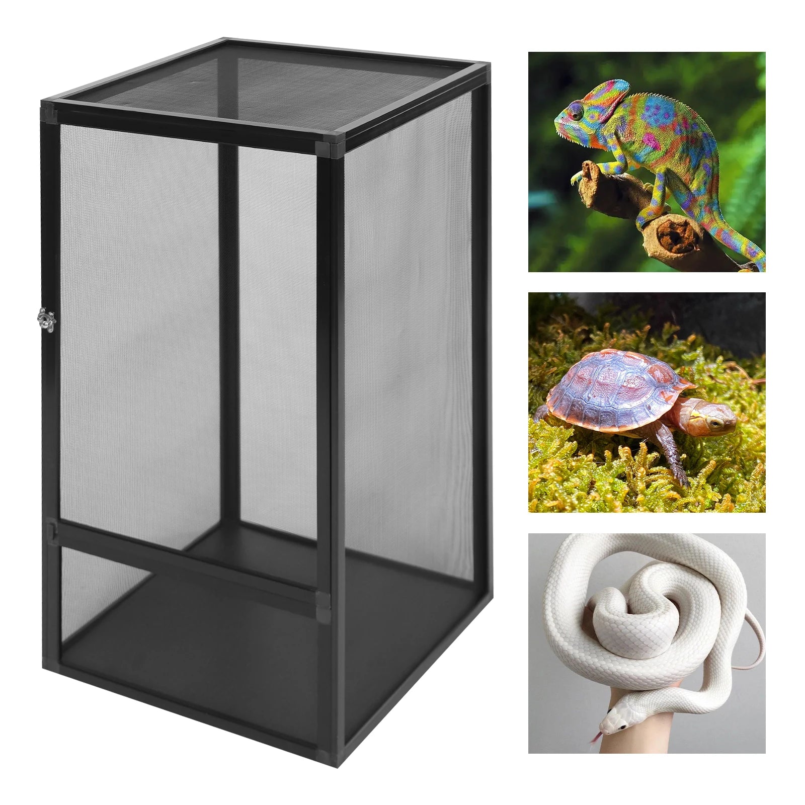 Micro Habitat Terrarium Enclosure
