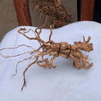 Aquarium Micro Landscape