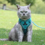 No Pull Dog Harness and Leash Set