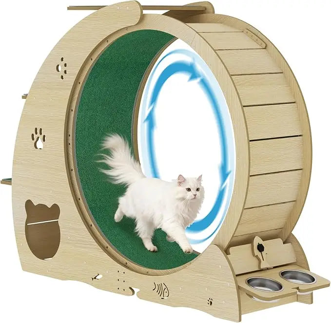Silent Cat Exercise Wheel