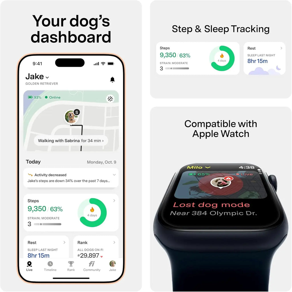 Smart GPS Dog Tracker Collar