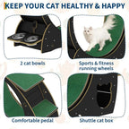 Silent Cat Exercise Wheel