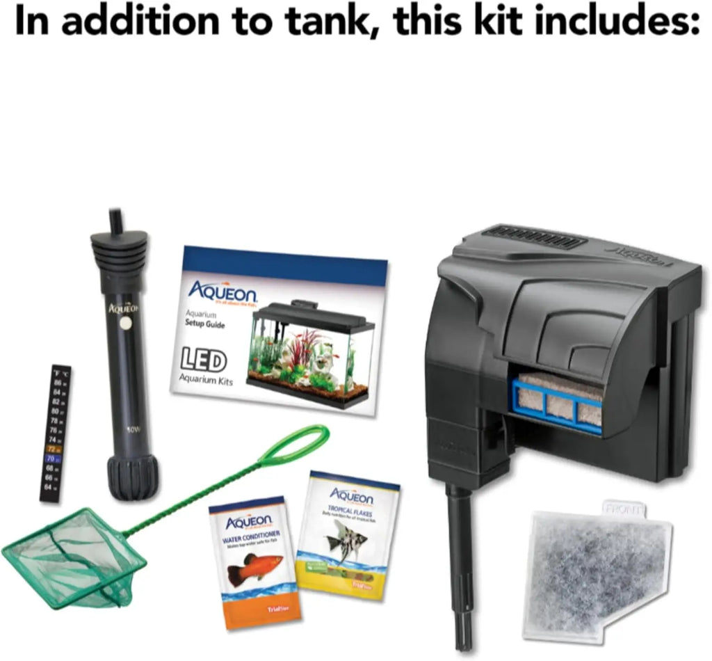 10 Gallon Aquarium Starter, Setup for Beginners