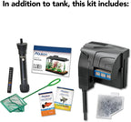 10 Gallon Aquarium Starter, Setup for Beginners