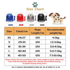 Cat Harness Lead Leash Set