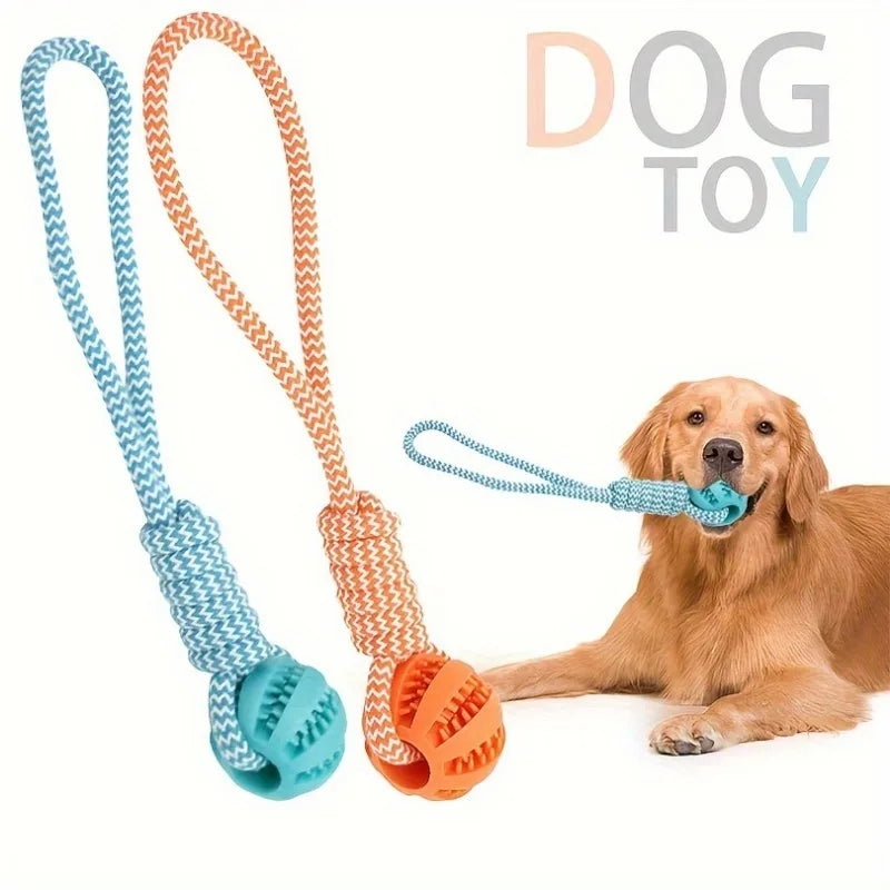 Interactive Dog Treat Ball