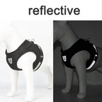 Cat Harness Lead Leash Set