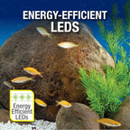 20 Gallon Complete Tropical Fish Tank Kit