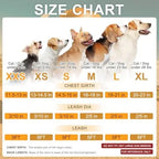 Safe Harness for Small Dogs & Cats