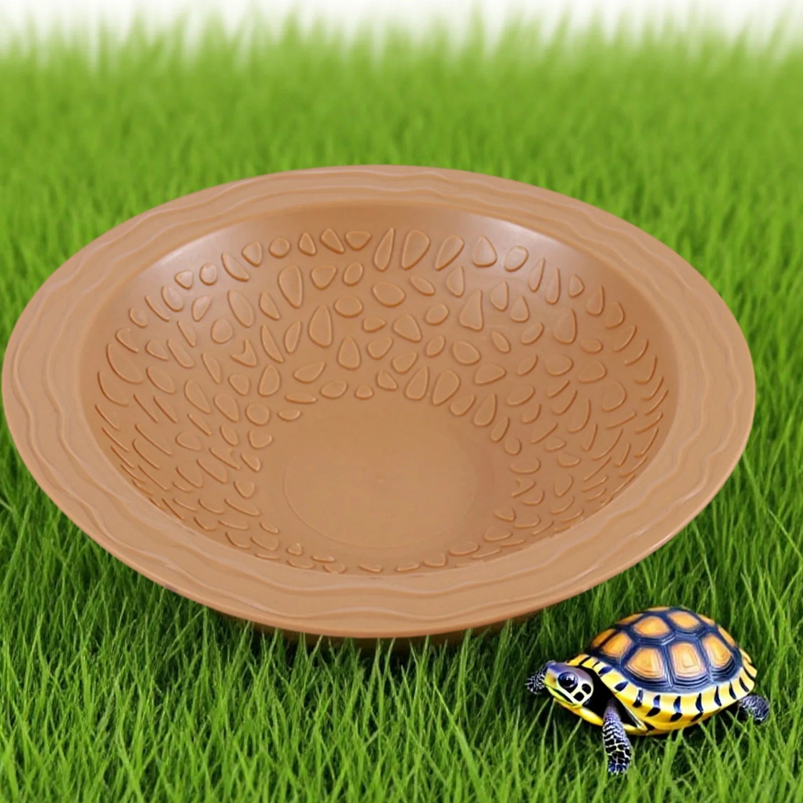 Reptile Swimming Pool Turtle Water Dish