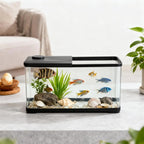 13-Gallon Aquarium Kit