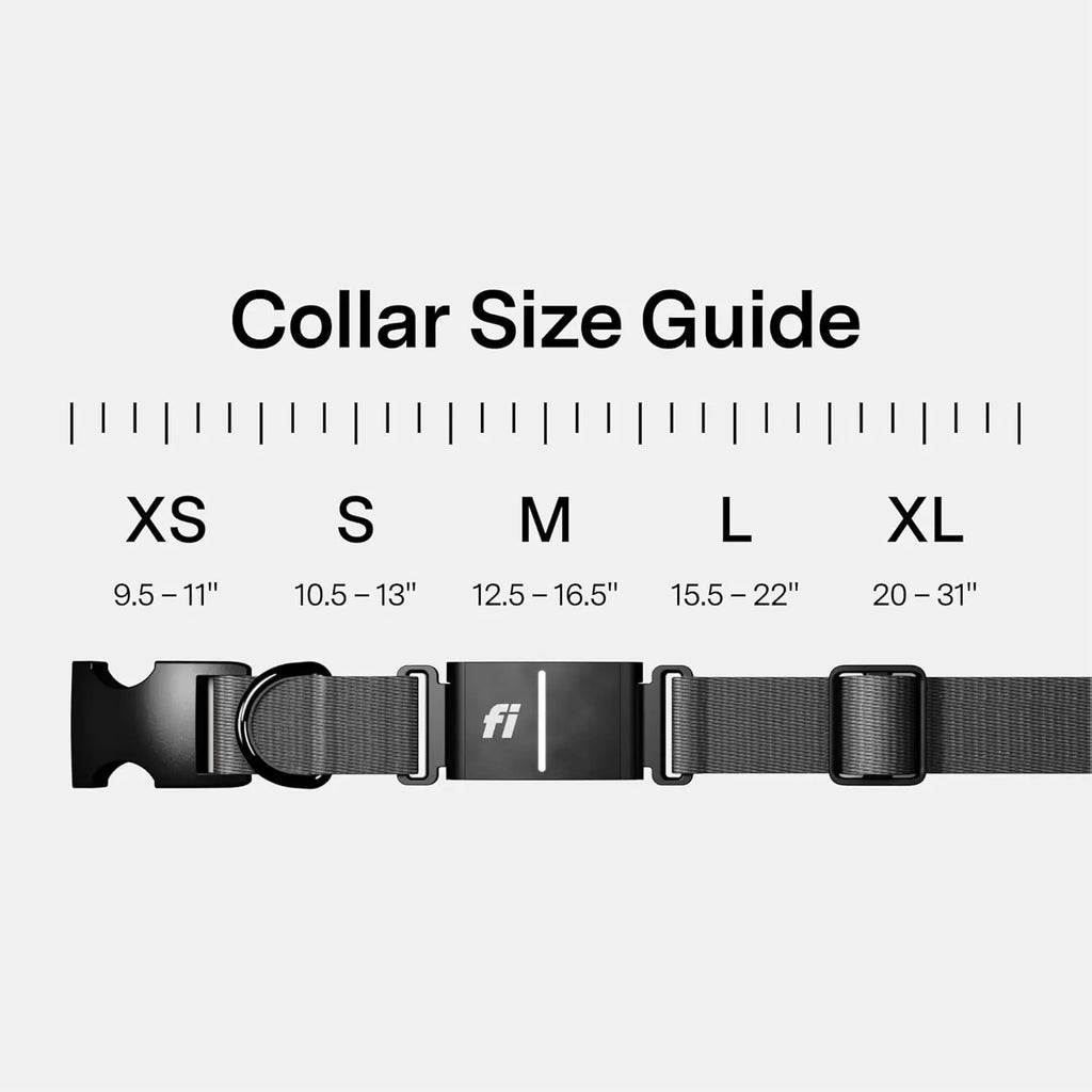 Smart GPS Dog Tracker Collar