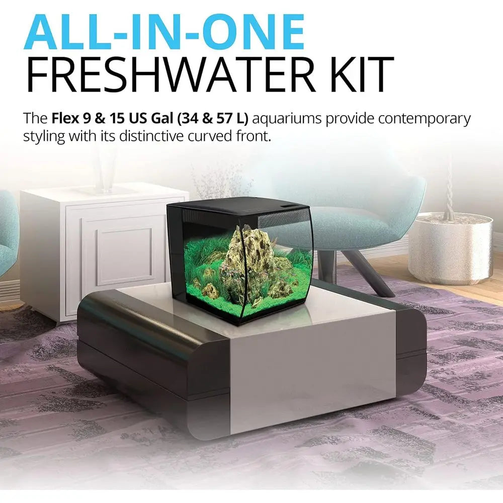 9 Gallon Glass Aquarium Kit