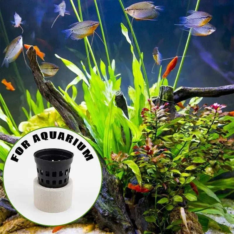 10/20Pcs Aquatic Landscape plant holder