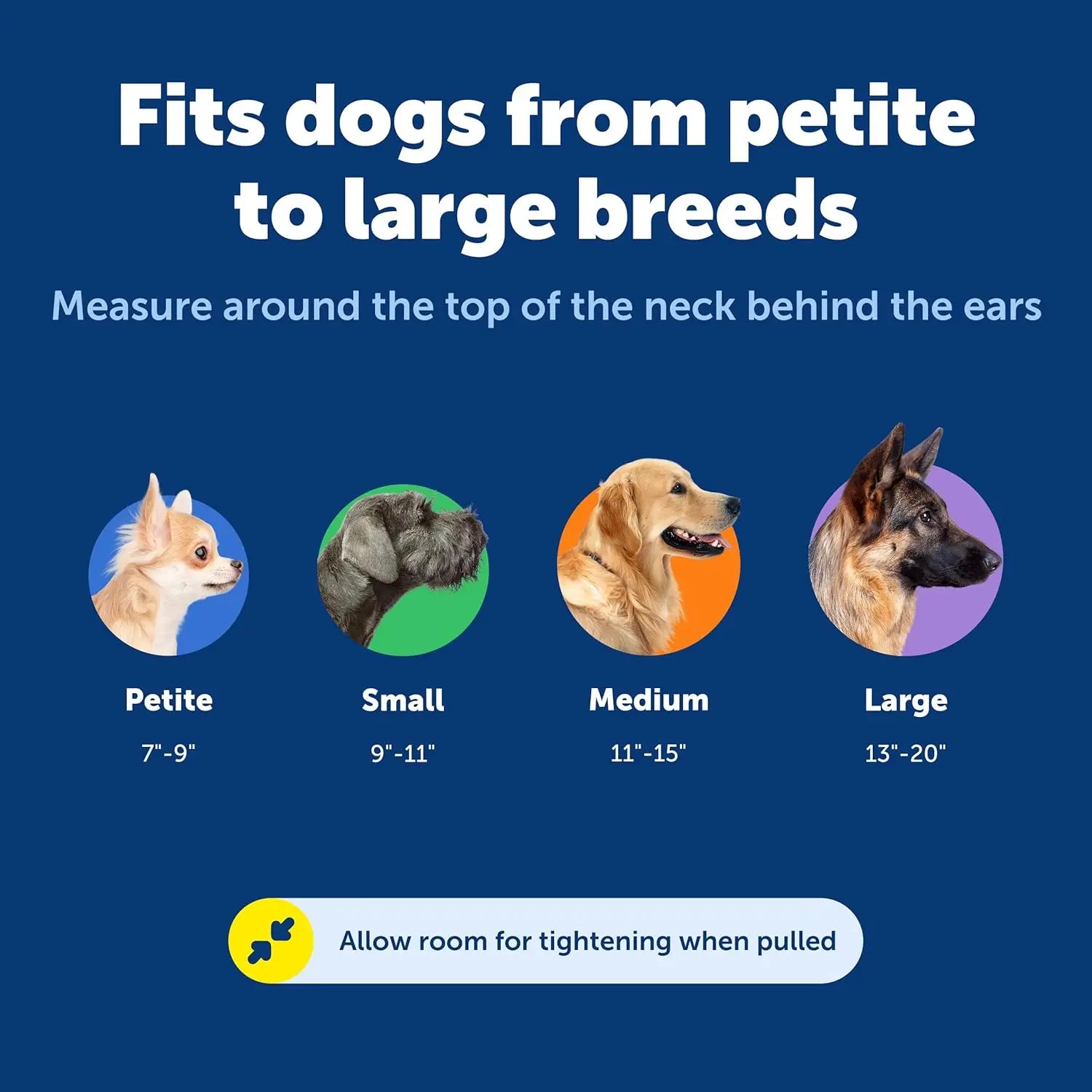 Adjustable Martingale Dog Collar