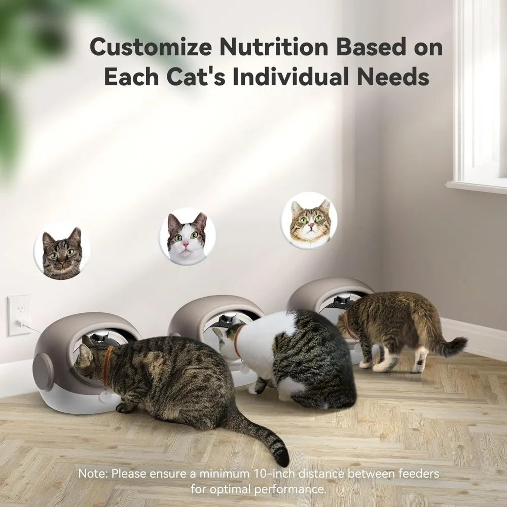 Upgraded RFID Cat Feeder with Collar Sensor