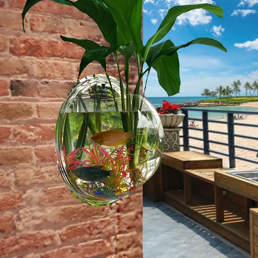 Aquariums Pack Wall Hanging Glass