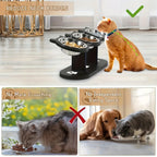 Tilted Raised Cat Food Bowls