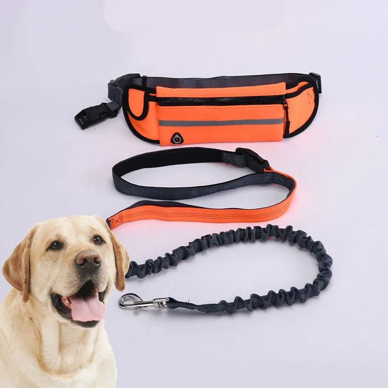 Hands Free Dog Leash for Running Walking