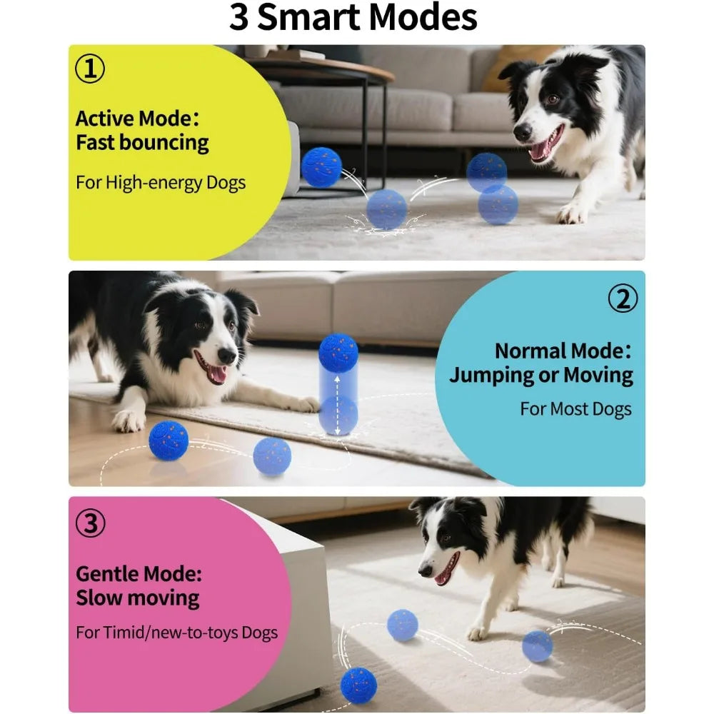 Interactive Dog Toys Ball