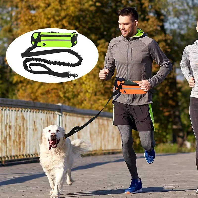 Hands Free Dog Leash for Running Walking